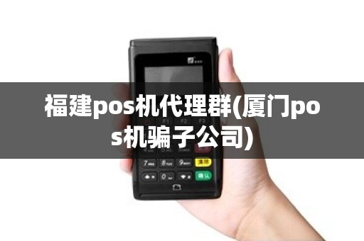 福建pos机代理群(厦门pos机骗子公司)