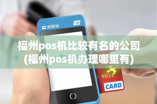 福州pos机比较有名的公司(福州pos机办理哪里有)