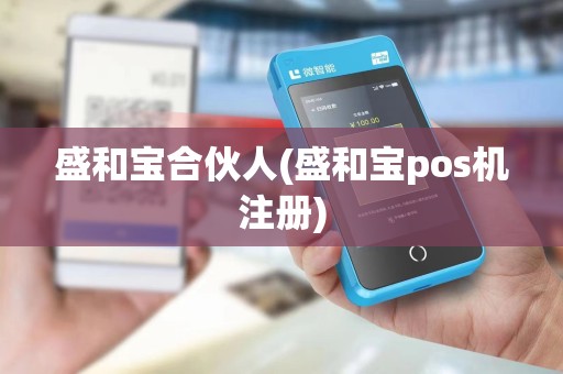 盛和宝合伙人(盛和宝pos机注册)