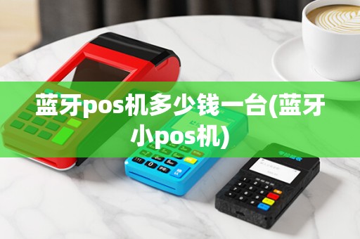 蓝牙pos机多少钱一台(蓝牙小pos机)