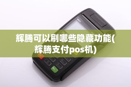 辉腾可以刷哪些隐藏功能(辉腾支付pos机)