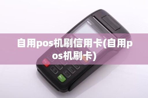 自用pos机刷信用卡(自用pos机刷卡)