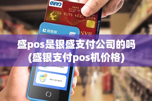 盛pos是银盛支付公司的吗(盛银支付pos机价格)