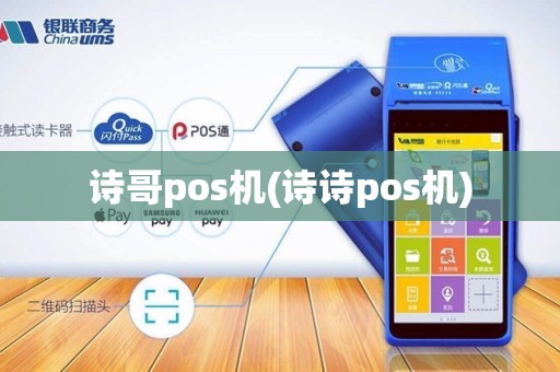 诗哥pos机(诗诗pos机)
