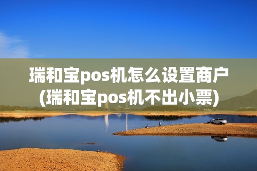 瑞和宝pos机怎么设置商户(瑞和宝pos机不出小票)