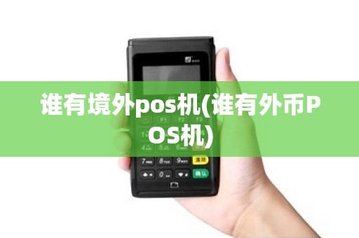 谁有境外pos机(谁有外币POS机)