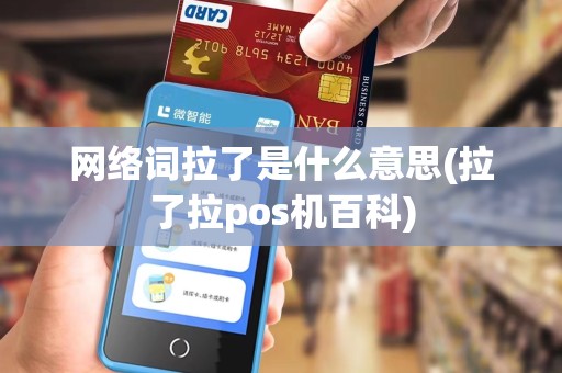 网络词拉了是什么意思(拉了拉pos机百科)