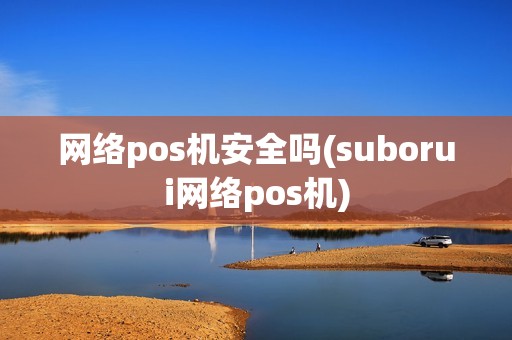 网络pos机安全吗(suborui网络pos机)