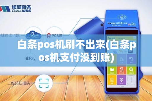 白条pos机刷不出来(白条pos机支付没到账)