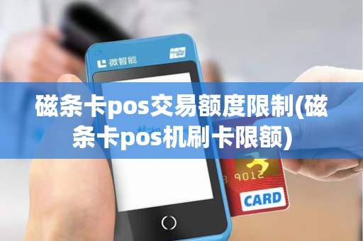 磁条卡pos交易额度限制(磁条卡pos机刷卡限额)