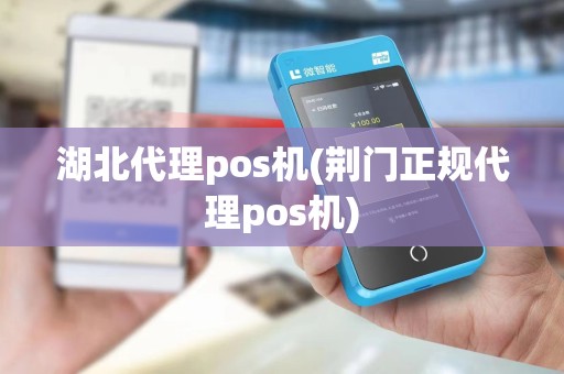 湖北代理pos机(荆门正规代理pos机)