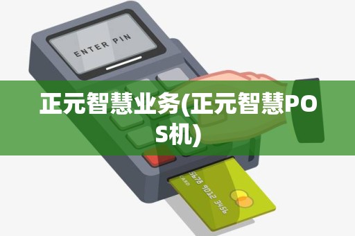 正元智慧业务(正元智慧POS机)