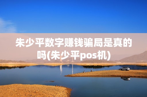 朱少平数字赚钱骗局是真的吗(朱少平pos机)