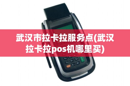 武汉市拉卡拉服务点(武汉拉卡拉pos机哪里买)