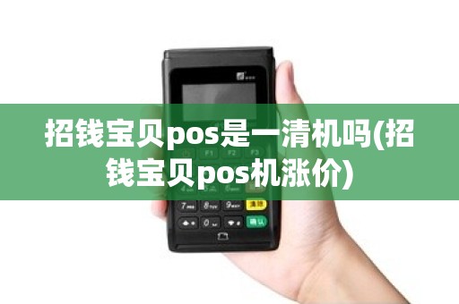 招钱宝贝pos是一清机吗(招钱宝贝pos机涨价)