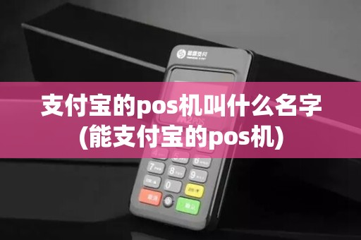 支付宝的pos机叫什么名字(能支付宝的pos机)