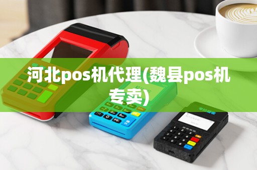 河北pos机代理(魏县pos机专卖)