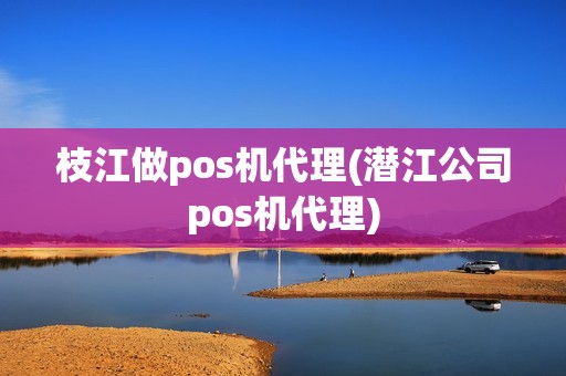 枝江做pos机代理(潜江公司pos机代理)