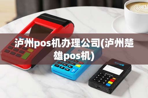 泸州pos机办理公司(泸州楚雄pos机)