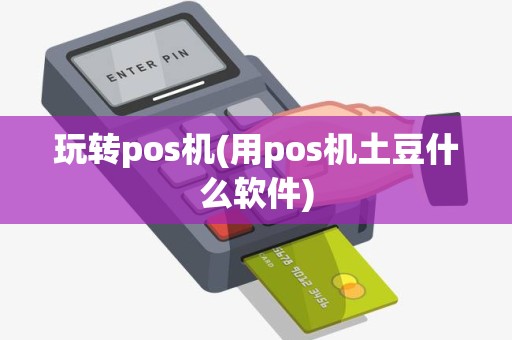 玩转pos机(用pos机土豆什么软件)