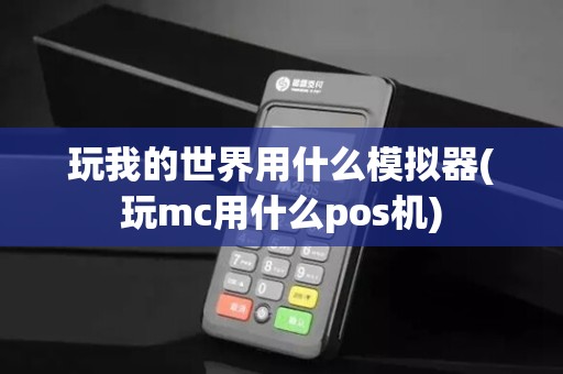 玩我的世界用什么模拟器(玩mc用什么pos机)