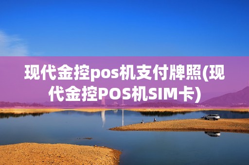 现代金控pos机支付牌照(现代金控POS机SIM卡)