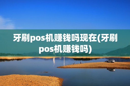 牙刷pos机赚钱吗现在(牙刷pos机赚钱吗)