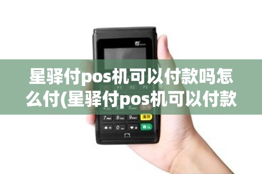 星驿付pos机可以付款吗怎么付(星驿付pos机可以付款吗)