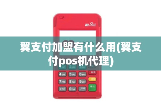 翼支付加盟有什么用(翼支付pos机代理)