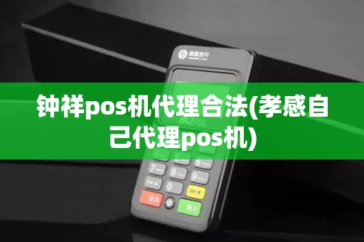 钟祥pos机代理合法(孝感自己代理pos机)
