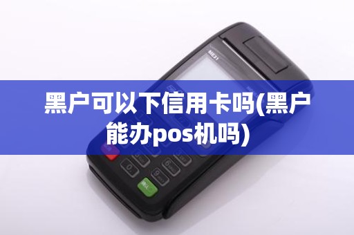 黑户可以下信用卡吗(黑户能办pos机吗)