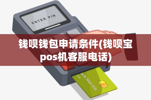 钱呗钱包申请条件(钱呗宝pos机客服电话)