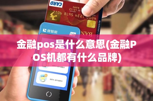 金融pos是什么意思(金融POS机都有什么品牌)
