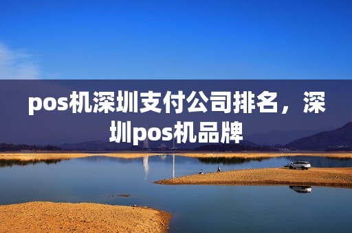 pos机深圳支付公司排名，深圳pos机品牌