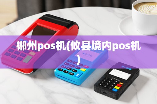 郴州pos机(攸县境内pos机)
