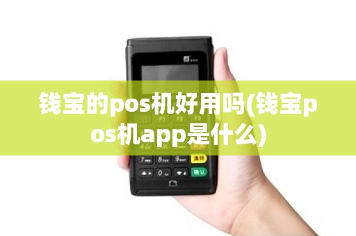 钱宝的pos机好用吗(钱宝pos机app是什么)
