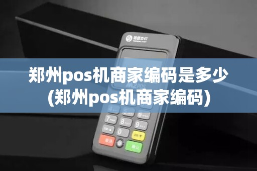 郑州pos机商家编码是多少(郑州pos机商家编码)