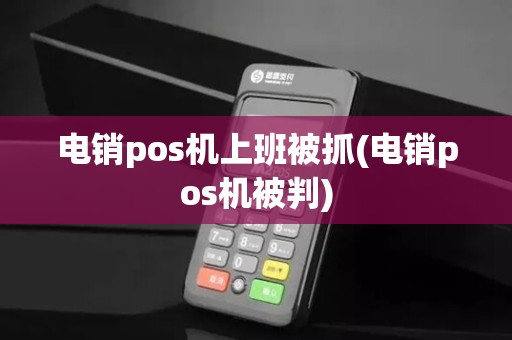 电销pos机上班被抓(电销pos机被判)