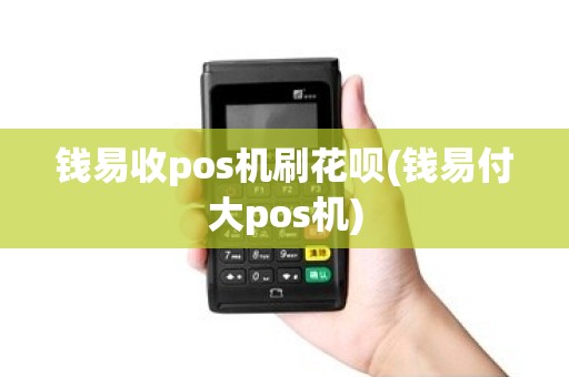 钱易收pos机刷花呗(钱易付大pos机)
