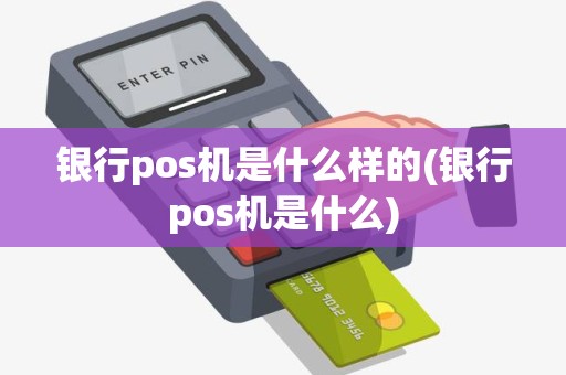 银行pos机是什么样的(银行pos机是什么)