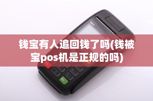 钱宝有人追回钱了吗(钱被宝pos机是正规的吗)