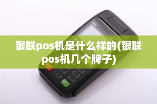 银联pos机是什么样的(银联pos机几个牌子)