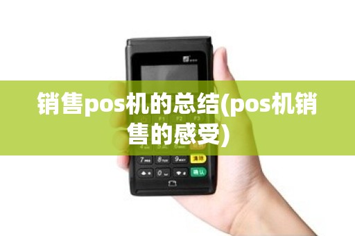 销售pos机的总结(pos机销售的感受)