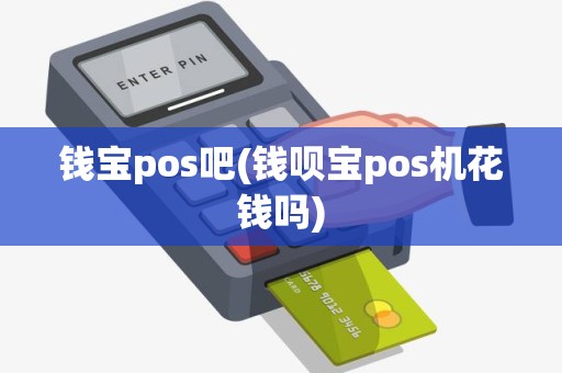 钱宝pos吧(钱呗宝pos机花钱吗)
