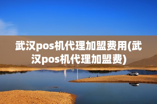 武汉pos机代理加盟费用(武汉pos机代理加盟费)