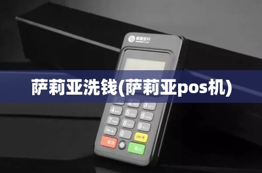 萨莉亚洗钱(萨莉亚pos机)
