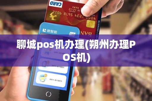 聊城pos机办理(朔州办理POS机)
