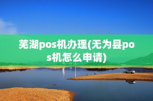 芜湖pos机办理(无为县pos机怎么申请)