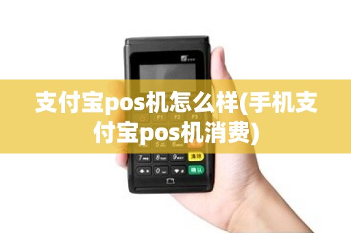 支付宝pos机怎么样(手机支付宝pos机消费)