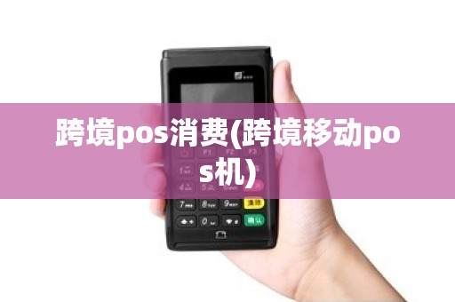 跨境pos消费(跨境移动pos机)